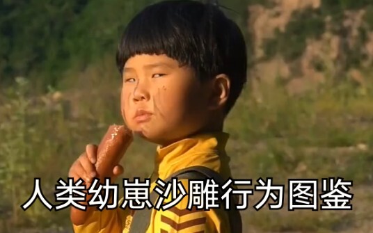 "A Visual Guide to Human Toddler Sand Sculpting Behaviors"