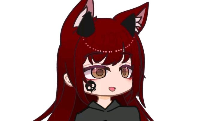 the wifi password is....