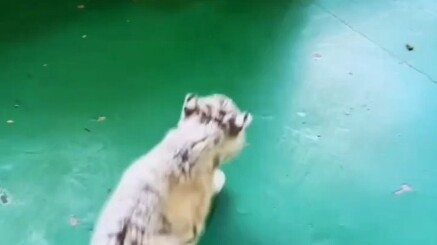 Xem bạn có sợ không