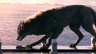 [Film&TV]Fenris stunned by fallen Hulk