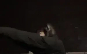 มันลงตรงไหน