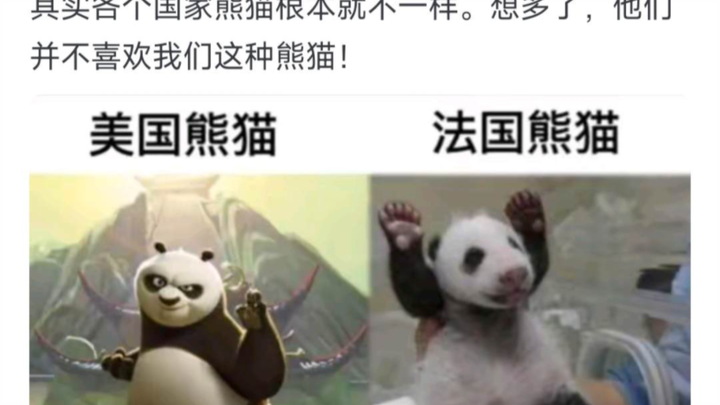 Người nước ngoài có thực sự thích gấu trúc lớn không?