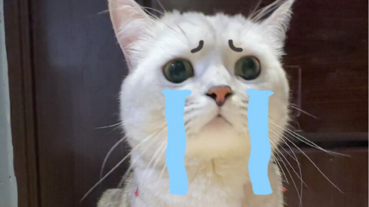 Bạn biết đó, từ nhỏ tôi đã rời xa mẹ.