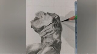 How to sketch half body