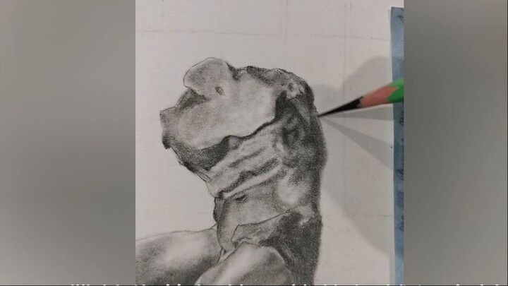 How to sketch half body
