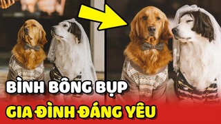 "BÌNH BÔNG BỤP" - Đại gia đình GÂU ĐẦN ĐÁNG YÊU tại Đà Lạt 🥰 | Yêu Lu