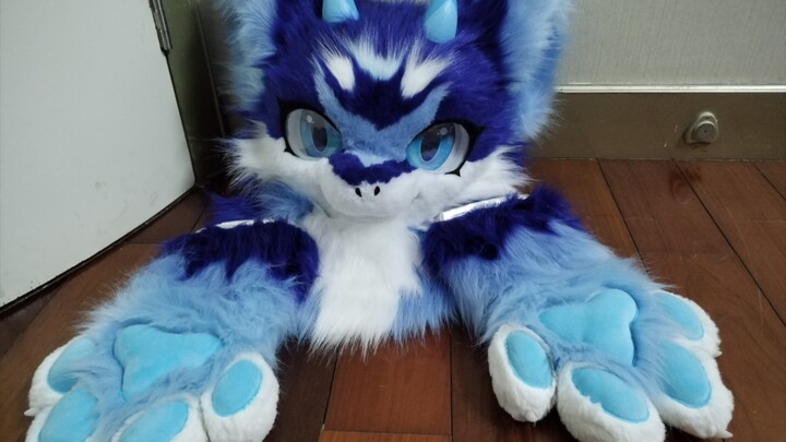 16-year-old finally gets their first animal costume!