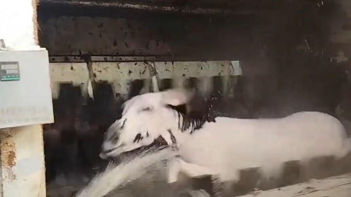 Ludagun: Ini kelewatan banget!