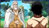 WHAT IF Rayleigh TRAINED Ace - One Piece | B.D.A Law