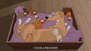【辛普森一家31季P22】圣诞老人的小助手(完)