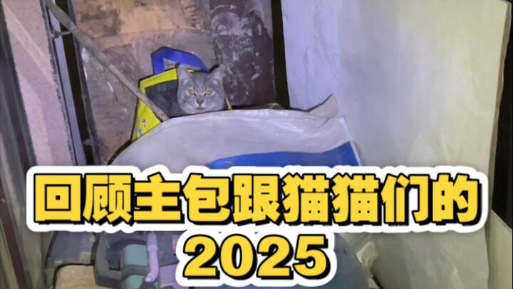 Duyên phận bắt đầu từ giây phút này