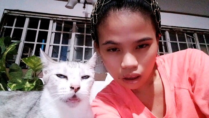 Meow Meow