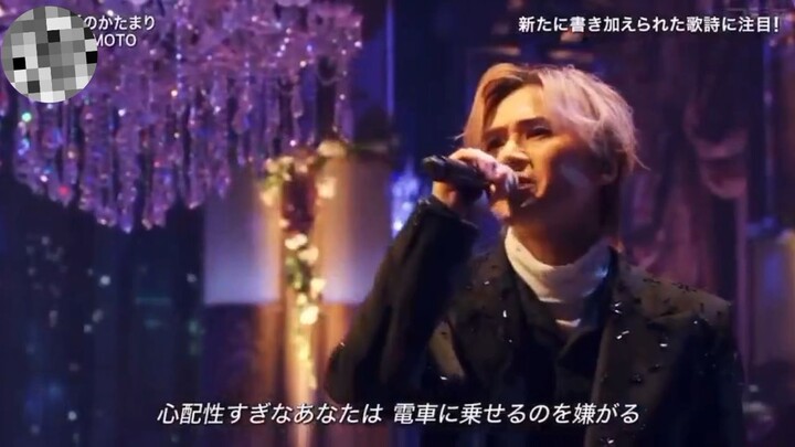 DOMOTO Bundle Of Love