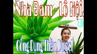 [Ẩm Thực Hà Nội] CÔNG DỤNG THẦN DƯỢC CỦA NHA ĐAM-LÔ HỘI CÓ TÁC DỤNG GÌ