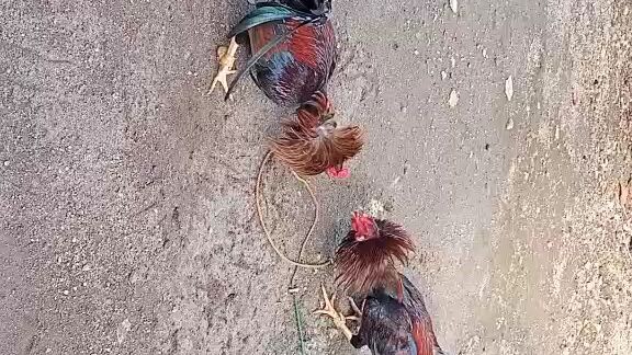 spar muna kung pwde na