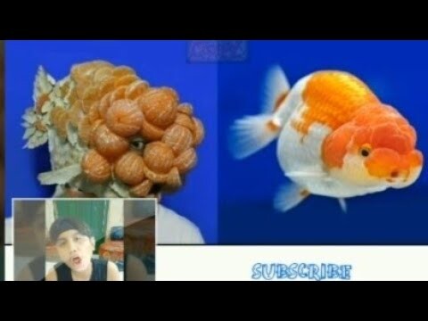 Lowcostcosplay Reaction Video 😅