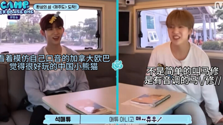 【Chương Hạo/ZB1】Rốt cuộc chàng trai này có sức hút gì mà khiến cả anh chàng Canada cũng phải mê mẩn?