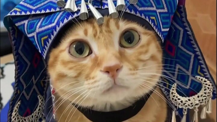 สารคดีบุคคลออนไลน์ ตอนที่ 139: หัวสับปะรดอารมณ์ดี