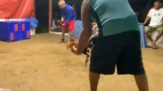 5 selection for 8 UGBOD STAG DERBY @ NAC BOGO NOV 8,2025