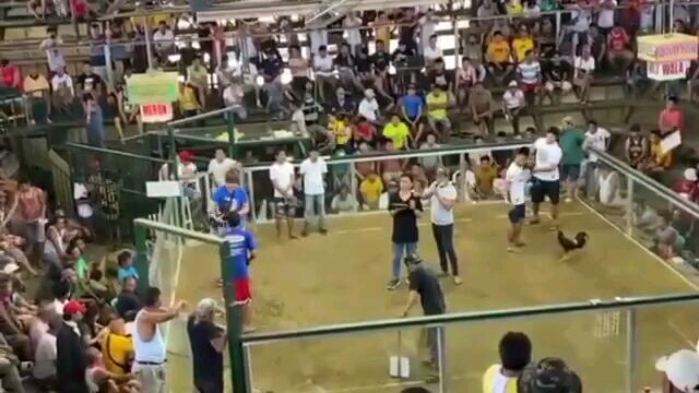 2ndfyt for 2hits ulutan pachampion Tay..