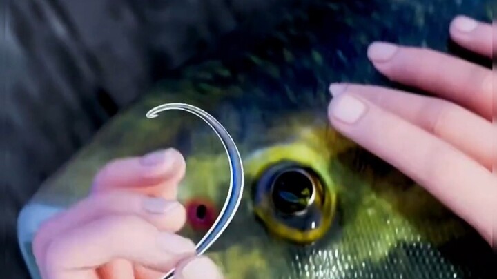 The Right Way to Break In.