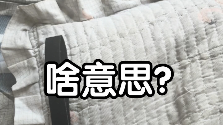 【ks Milk Cat Isn’t Trash】The latest video is now live—come check it out!