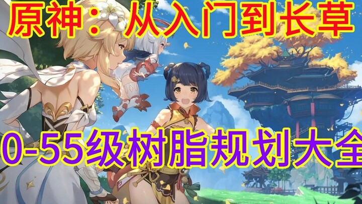 [Genshin Impact] Level 0-55 Resin & Stamina Detailed Plan: Breakdown of Character Development Order 
