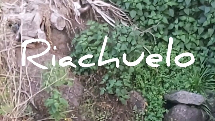 how do you say stream in Spanish and Portuguese? como dices riachuelo en español y en portugués?