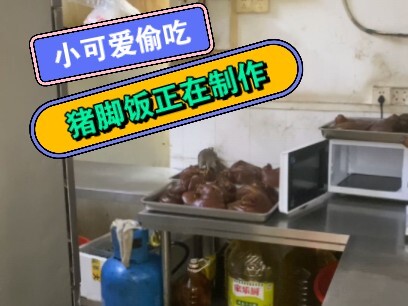 มีใครสั่งข้าวขาหมูเดลิเวอรีบ้าง มิกกี้กินอาหารจีน