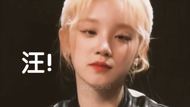 Yuqi: Tôi chẳng làm gì cũng rất đáng yêu! (Chú cún Ha Chi)