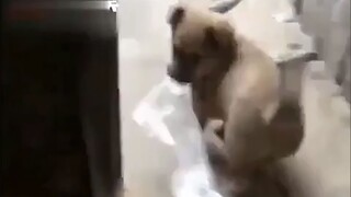 Fuck, I’m toilet paper!