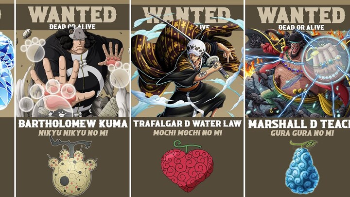 ONE PIECE All Characters Shown Devil Fruits Paramecia Users From Weakest to Strongest !!