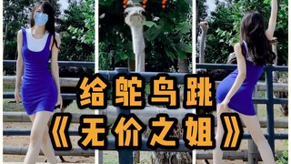 【李里西】给鸵鸟跳《无价之姐》看看