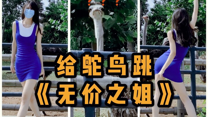 【李里西】给鸵鸟跳《无价之姐》看看