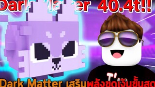 Dark Matter เสริมพลังขุดเงินขั้นสุด Roblox Pet Simulator X