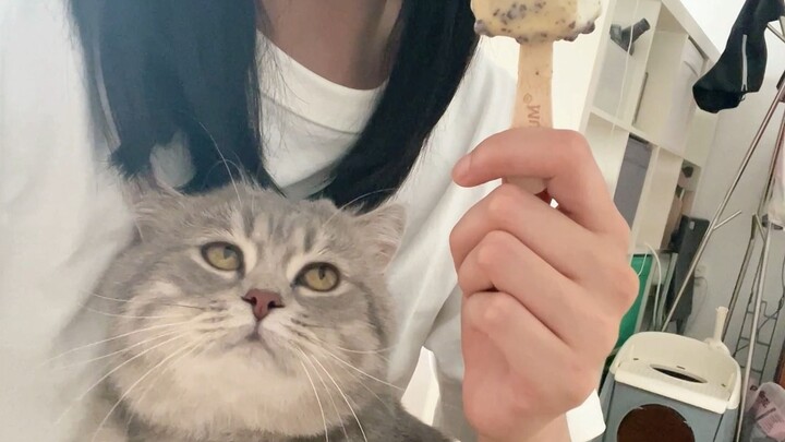 The weather’s getting hot, and even the little kitten has sweaty paws now!