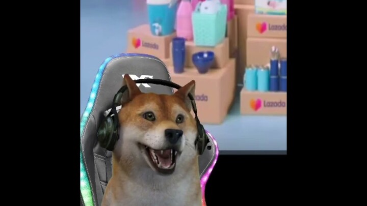 CAT SYOBON GAMEPLAY BY THE GAMER DOG
