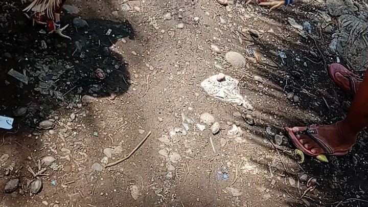 papawis lang muna😁😁