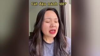 Cát cho nhà nghèo yêu mèo cat mèo mẹohay