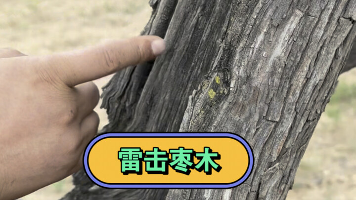 Hướng dẫn mọi người cách làm gỗ sét đánh, ai học được thì hãy kêu lên nào