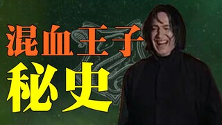 斯内普“if”线：是的，我和波特成了朋友