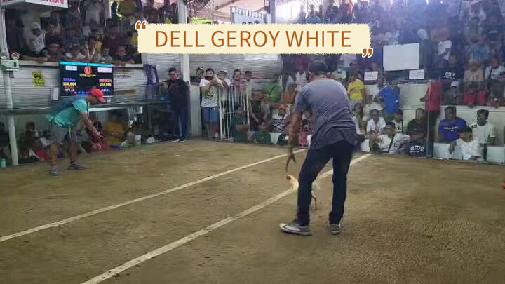 DELL GEROY WHITE 11 STAG DERBY 25 MILLION ELIMINATION