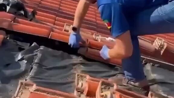 Seorang pria Brasil menemukan: di rumahnya tercium bau aneh, yang ternyata berasal dari atap...