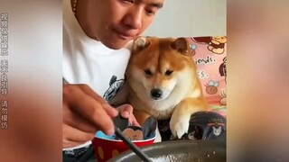 盘点来自网友的爆笑神回复，各个都是人才啊！