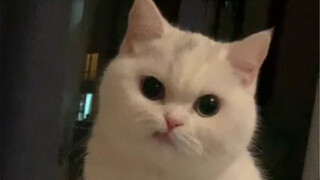 ฉันโกรธมากจริงๆ