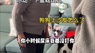 الحد الأدنى الذي يختفي تدريجيًا لدى مربي الكلاب