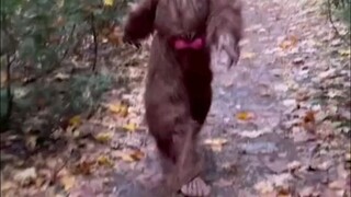 nói xạo vậy thôi chứ chưa có người yêu :)))))))))))))))))