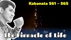 The Pinnacle of Life / Kabanata 561 - 565