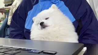 As soon as class starts, sleepiness from all over the world comes rushing in.