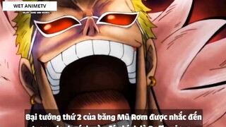 Top 7 Hải Tặc Kết Hợp Haki Với Trái Ác Quỷ _ 3